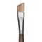 Princeton Pro Series 6000 Brush - Angle Bright, Long Handle, Size 6